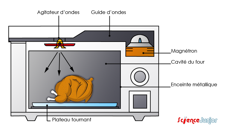 Comment ça marche : entrez à l'intérieur du four à micro-ondes