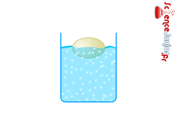 Expérience : l'œuf qui nage